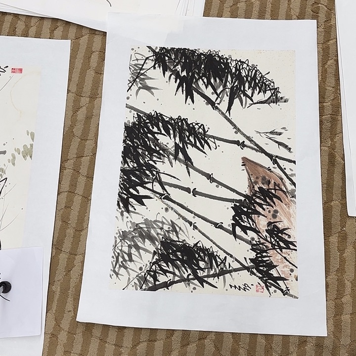 国画花鸟等多种鸟类和动物为