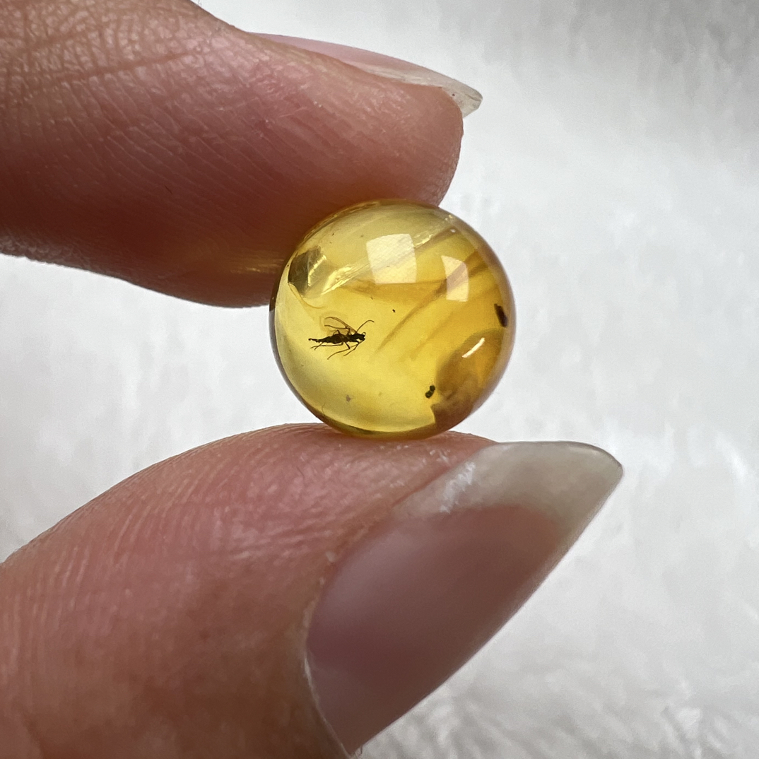 天然琥珀虫珀圆珠尺寸:10.8mm