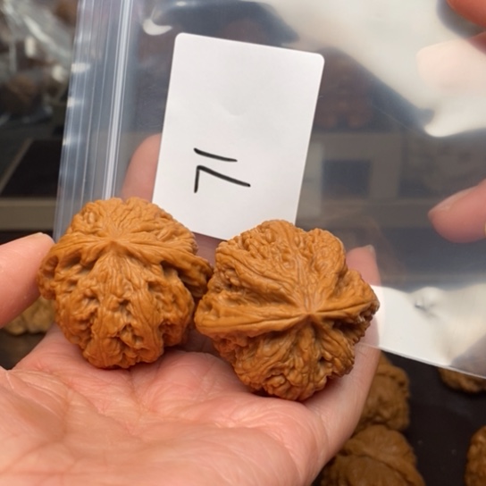 桃核吊坠O*o71大粗筋狮子