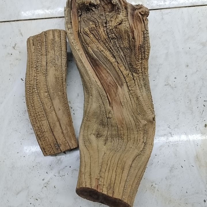 风车木（黑檀木）春*