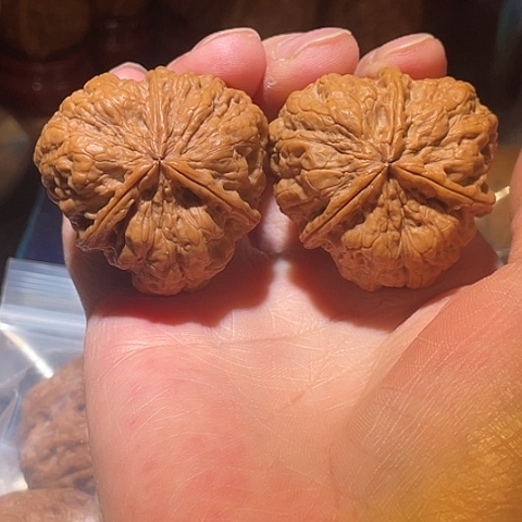 文玩核桃把件十八包三棱带彩41左右