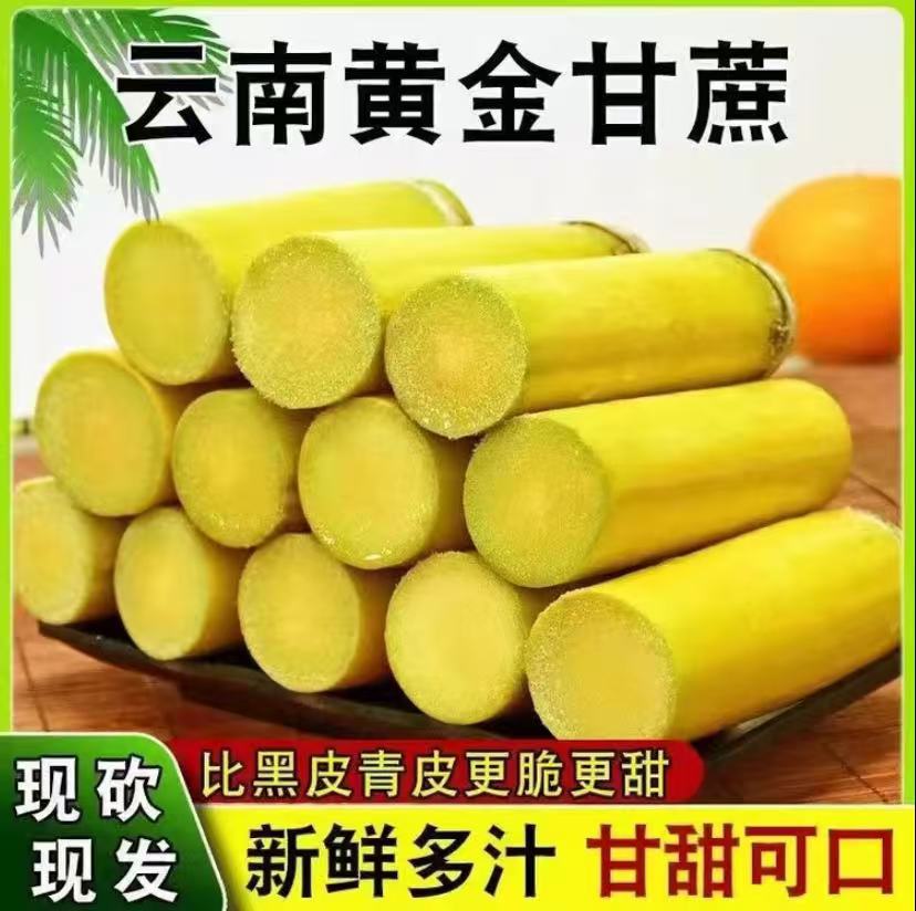 N云南黄金甘蔗清甜爽口多汁产地直发水果甘蔗