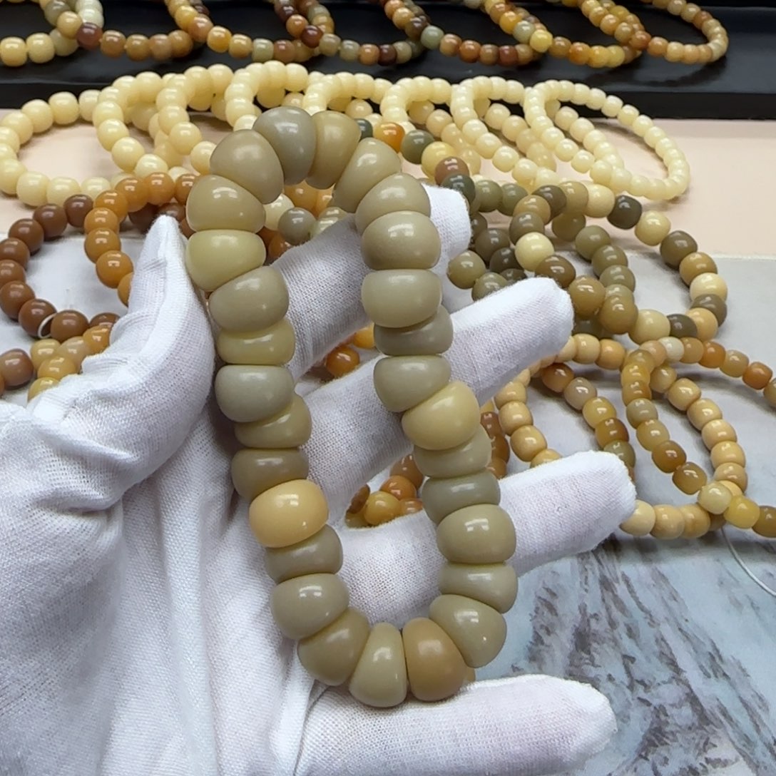 菩提根/象牙果吊坠13 蒜瓣 5年