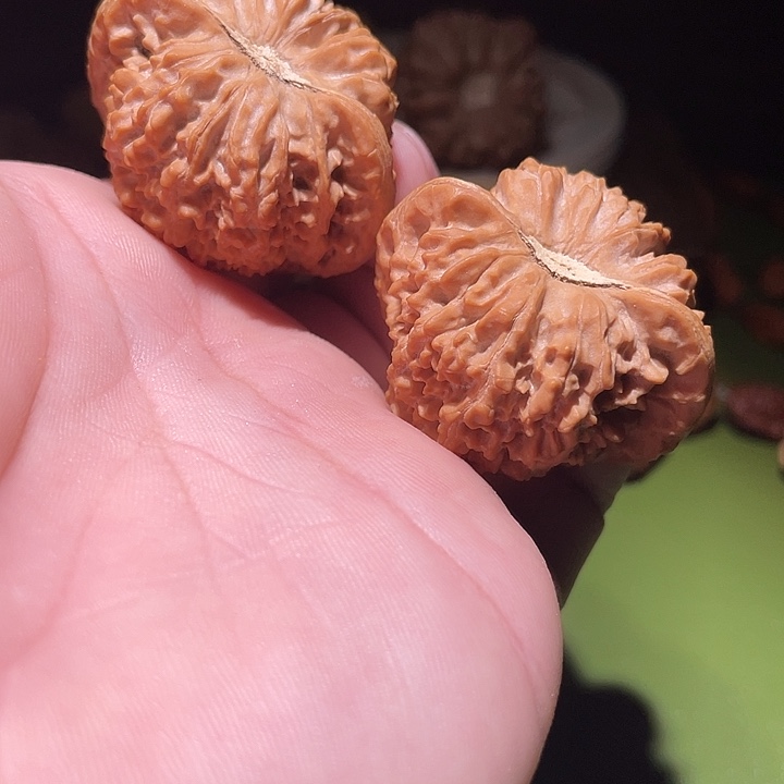 手串/手链橄榄核41精品满天星核桃核桃