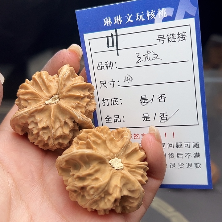 文玩核桃吊坠核桃树111