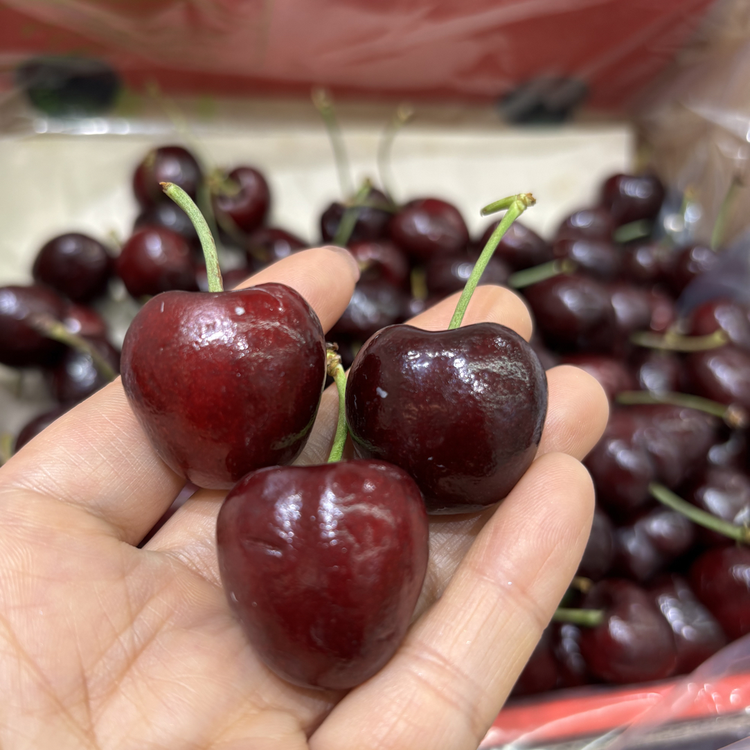 海运智利JD车厘子一斤装一份（需要洗的备注）