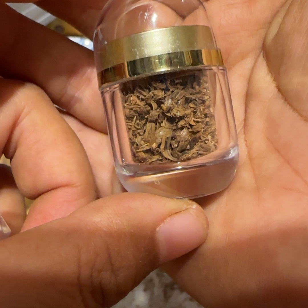 沉香碎屑沉香加里曼丹沉水勾丝10克