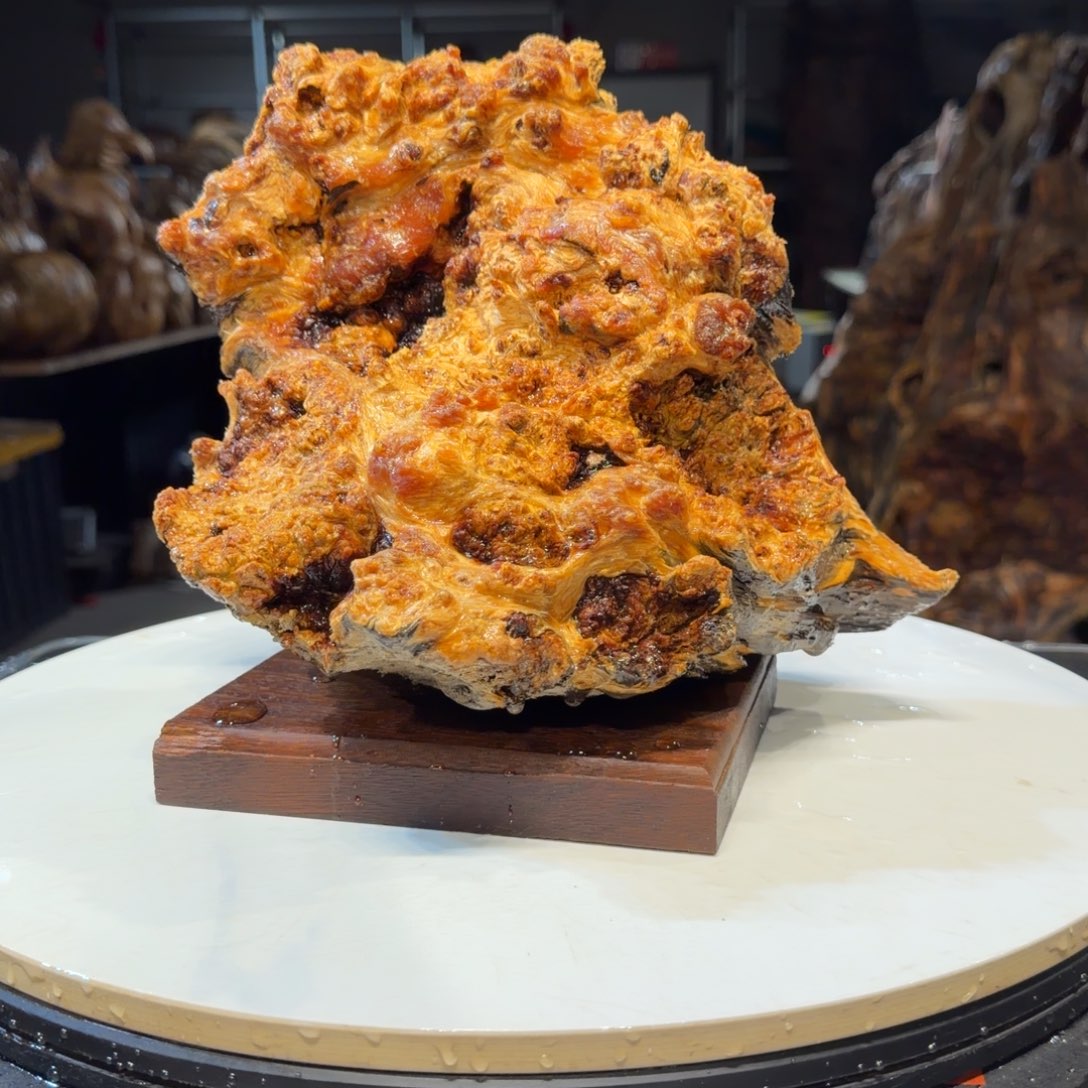 用***5木王一刀琥珀木摆件56