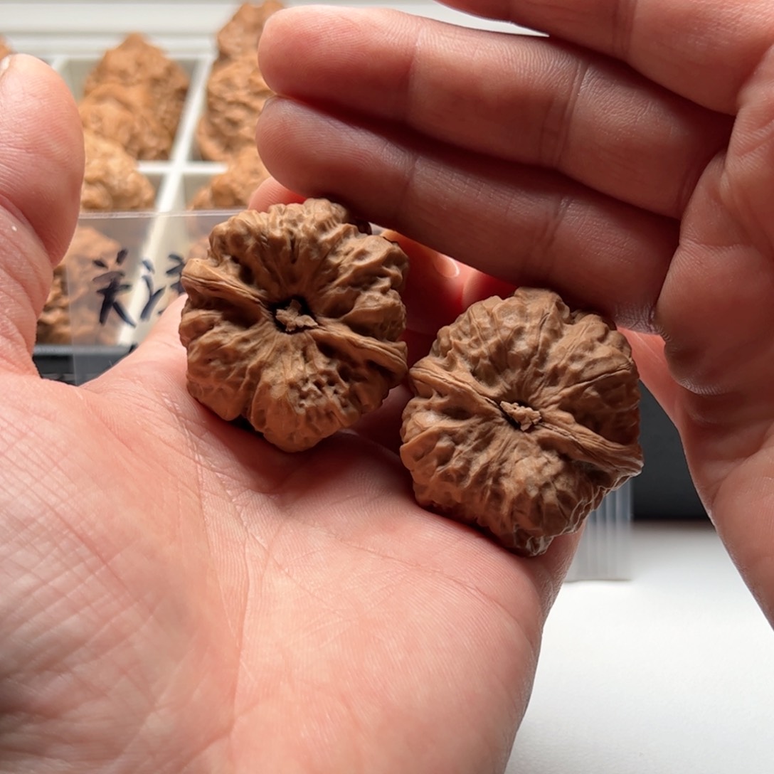 核桃把件延庆蛤蟆头