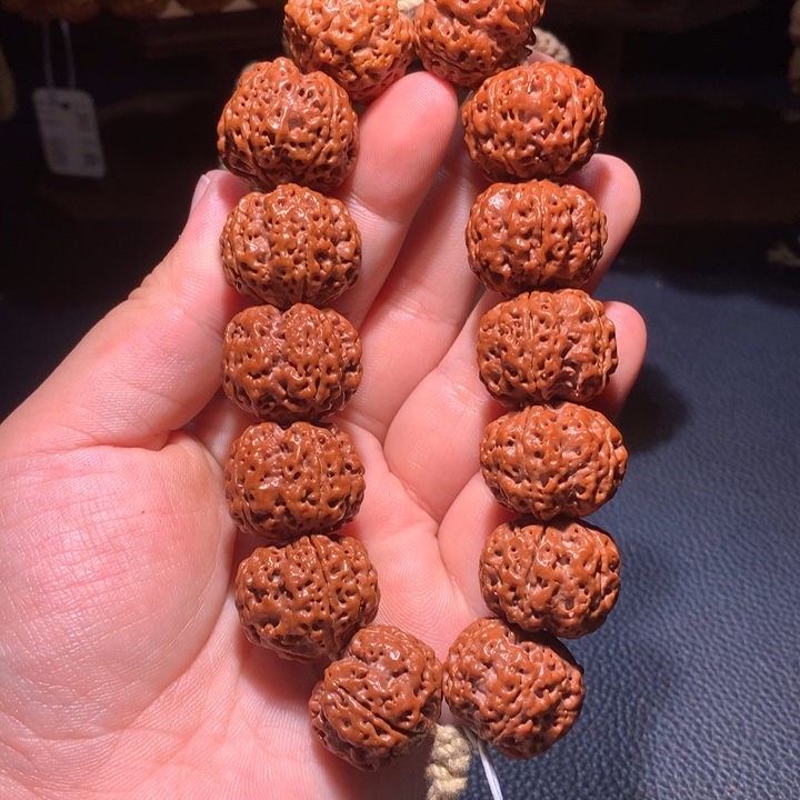 菩提籽类22+九龙定制