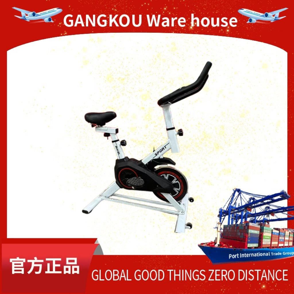 动感单车家用自行车健身房专用运动器材脚踏小型静音锻炼