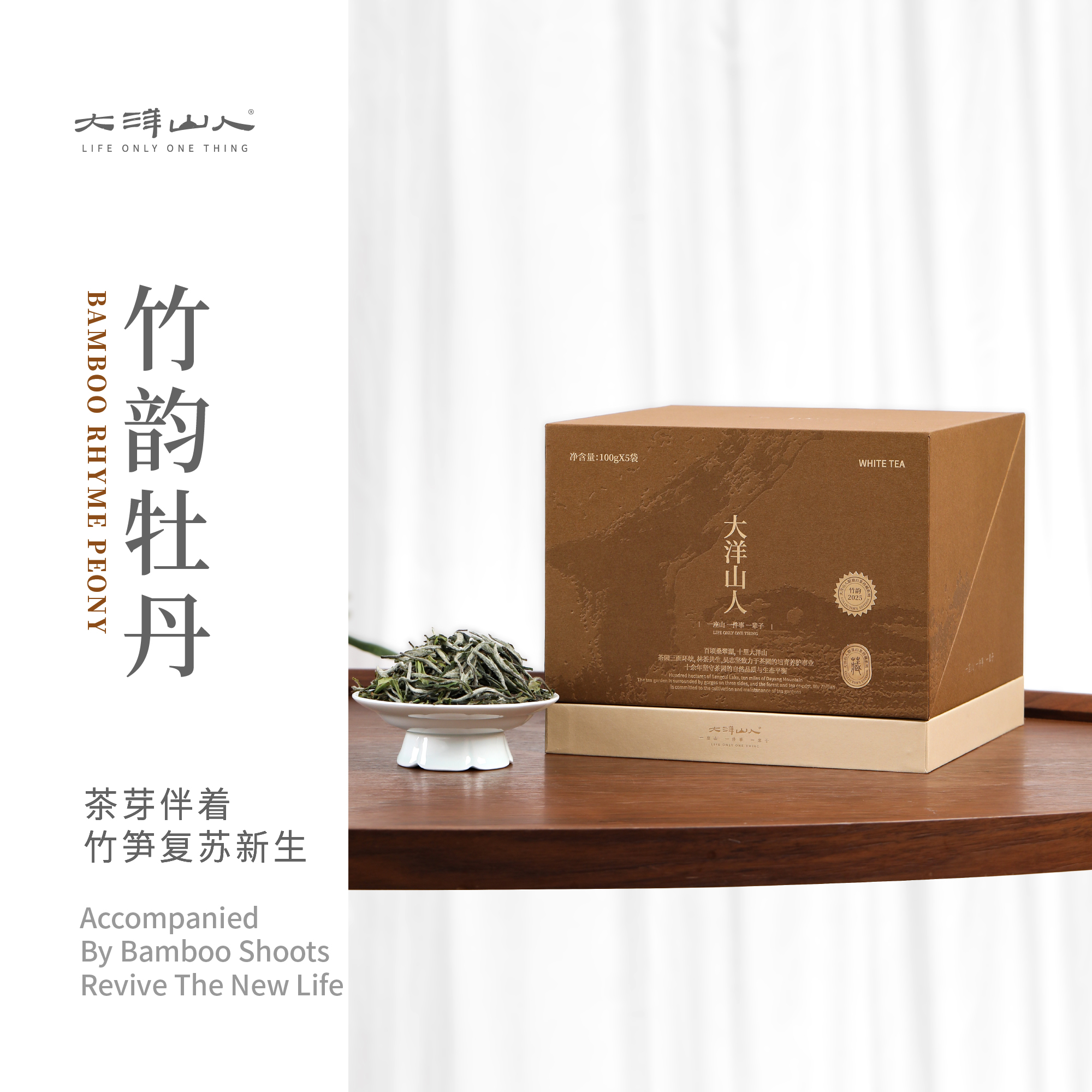 大洋山人｜磻溪大洋山2025明前春茶一级竹韵牡丹500g克白茶收藏装