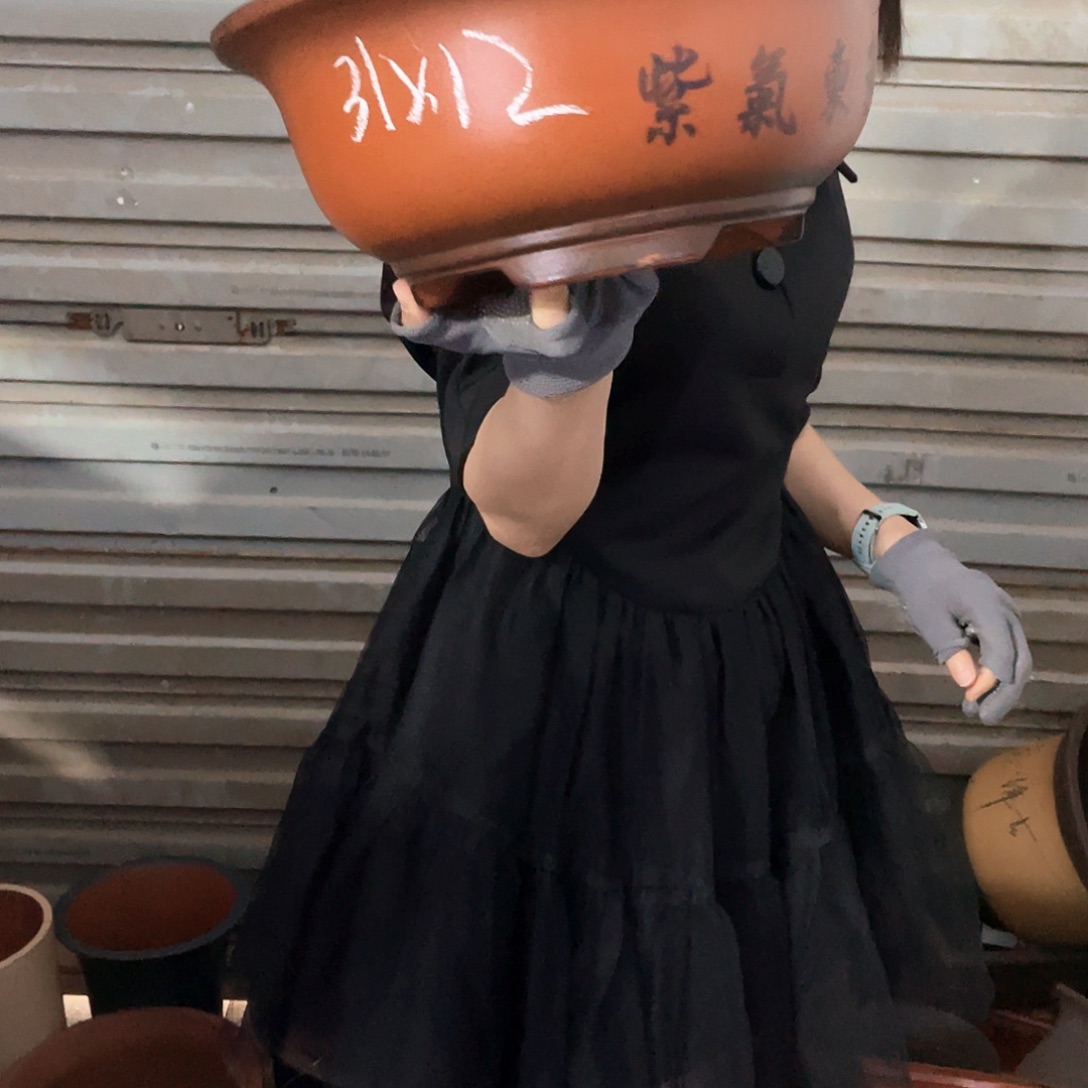 31小红花盆花盆花盆花盆