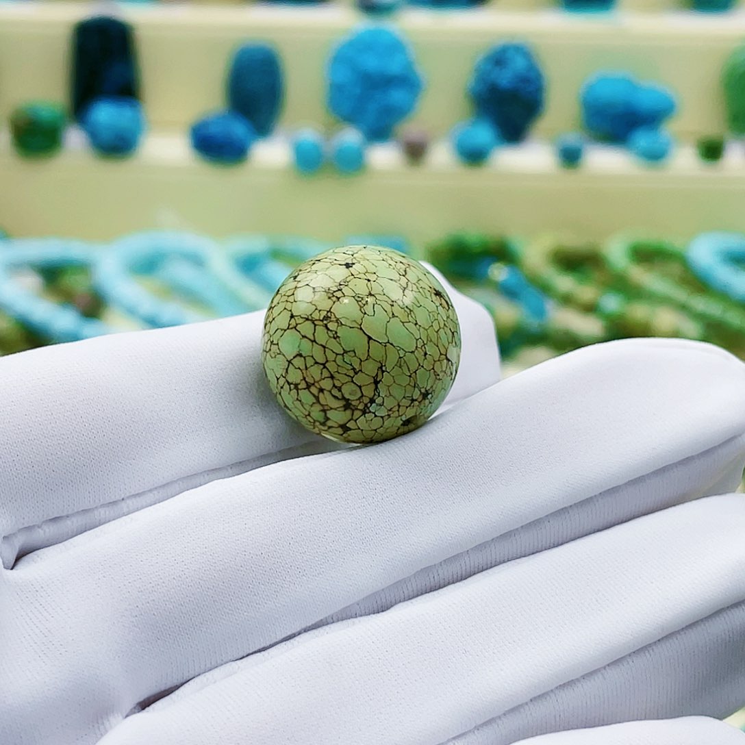 绿松石颈饰未镶嵌