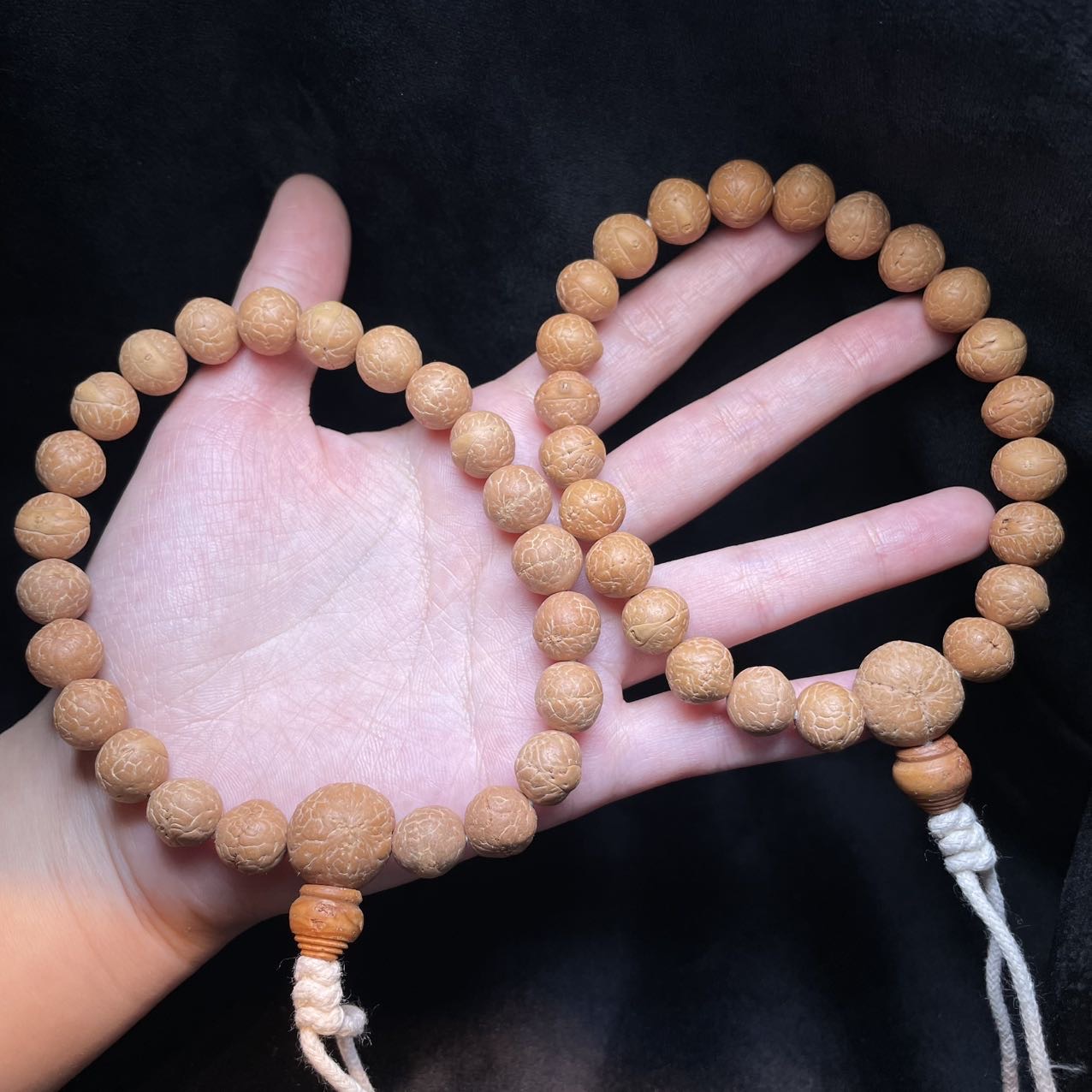 【刚子推荐】 TC57894-凤眼菩提手持-多样性发其一-11mm左右