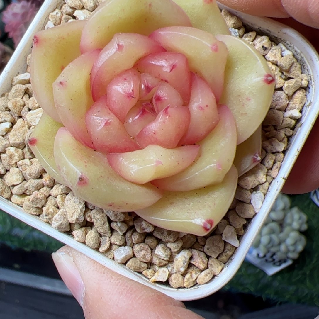 364 满38包邮一物一拍