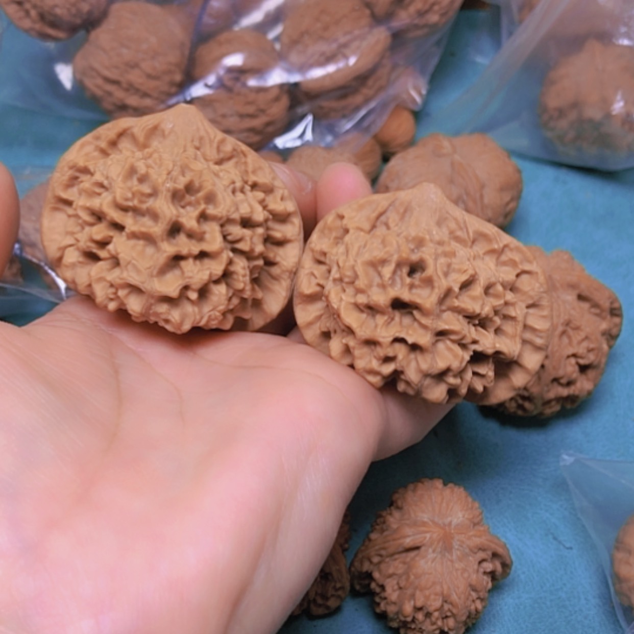 【闪购商品】摆件核桃50.5官帽修尖