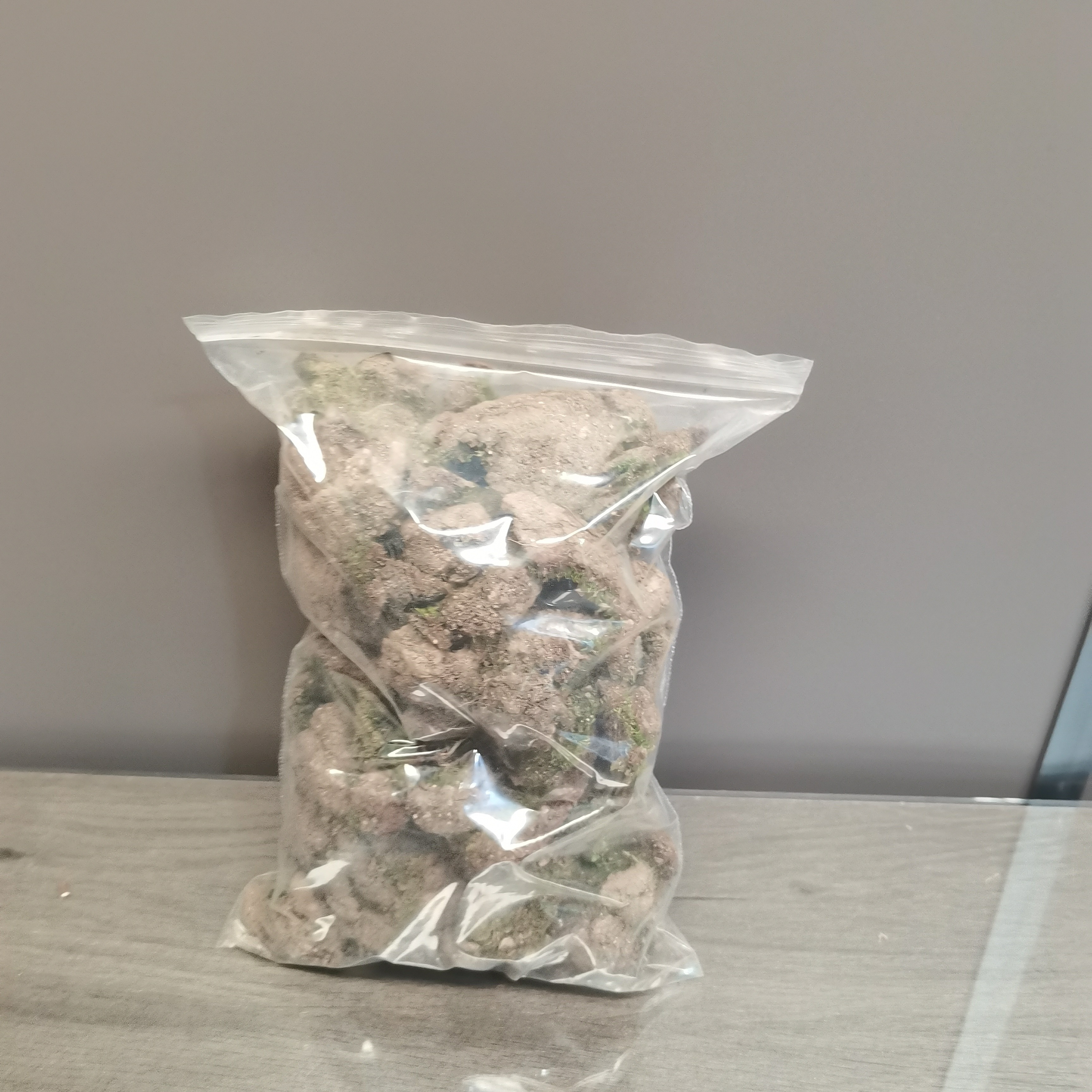 苔藓绿青苔干苔藓