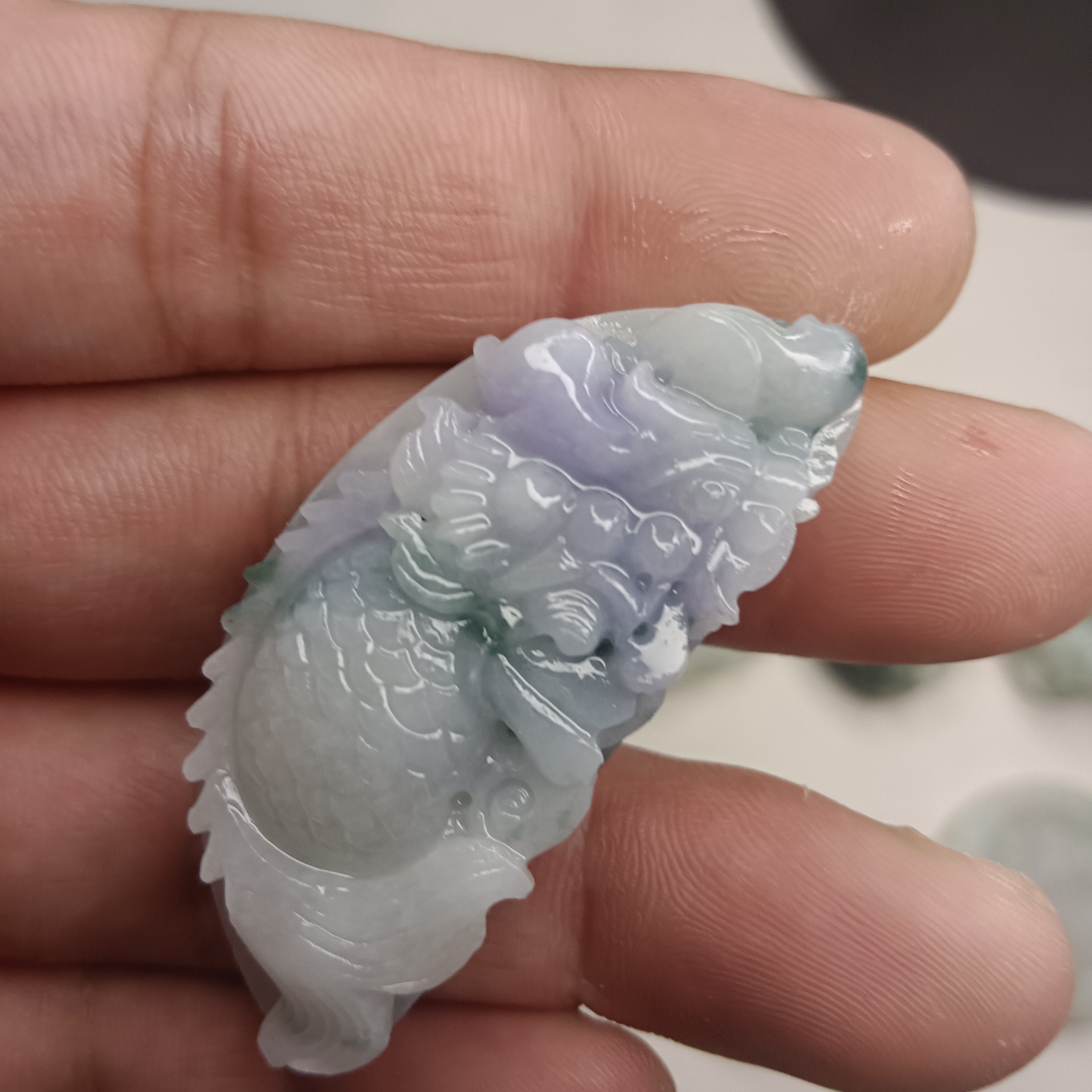 翡翠龙鱼紫带飘花