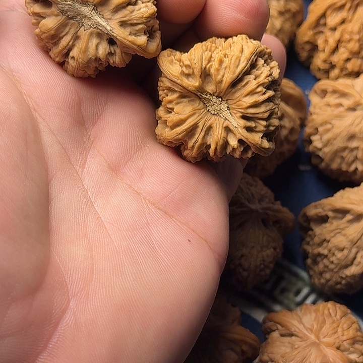 大***面40全品无修承德密文