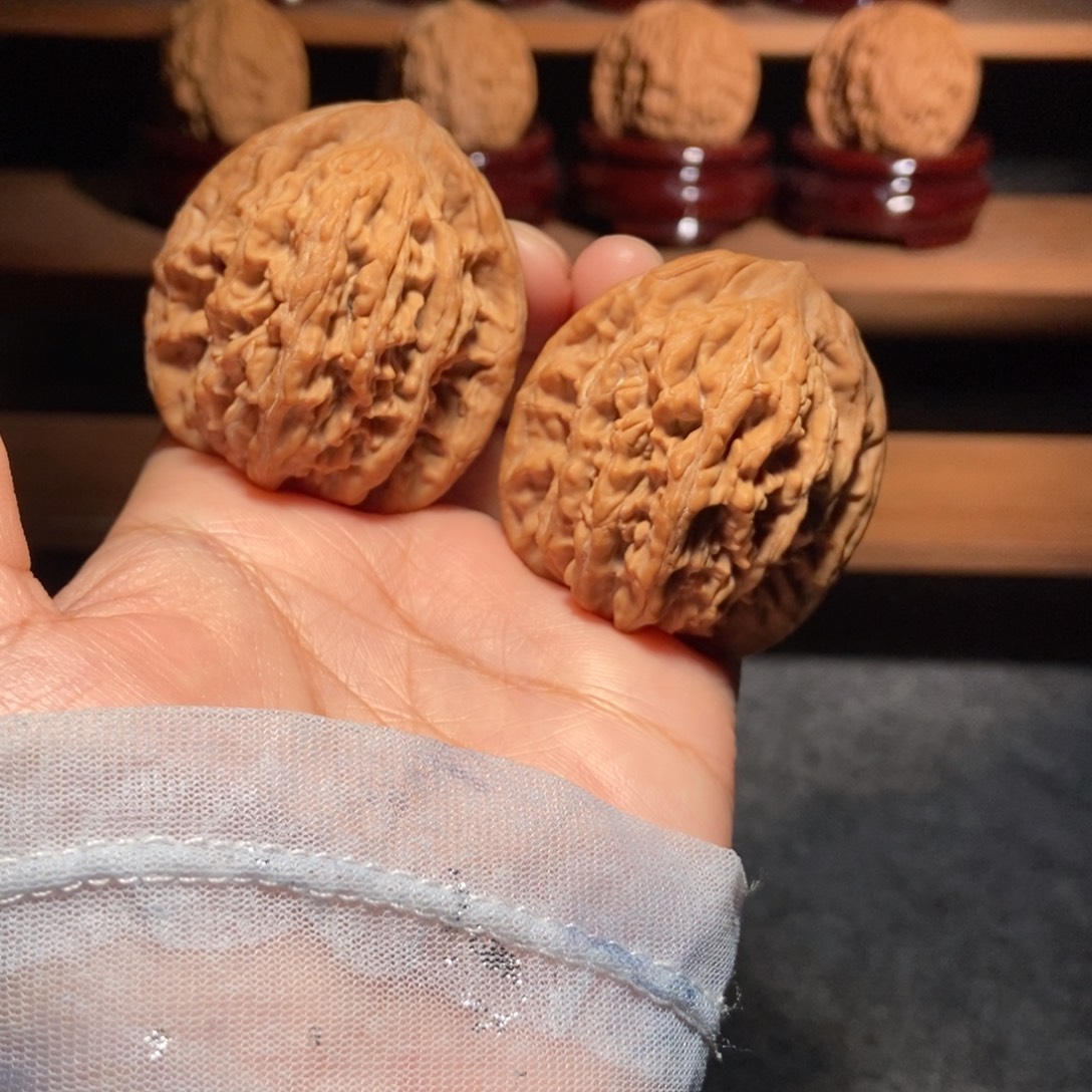 其他核桃毕业麦穗虎头无修全品41