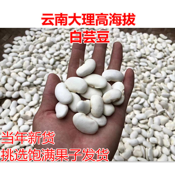 云南白芸豆大理农家新货雪豆可炖猪脚老妈蹄花 云龙县高海拔种植