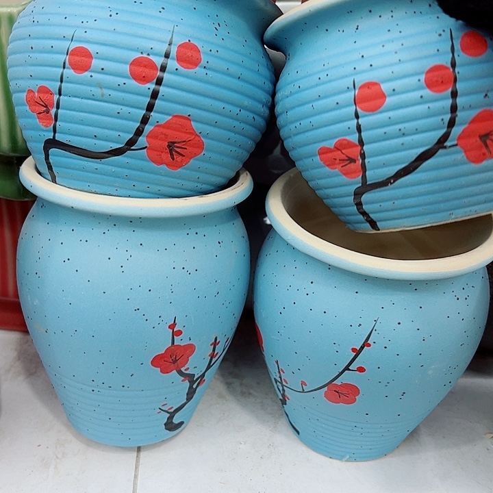 多肉植物陶瓷花盆