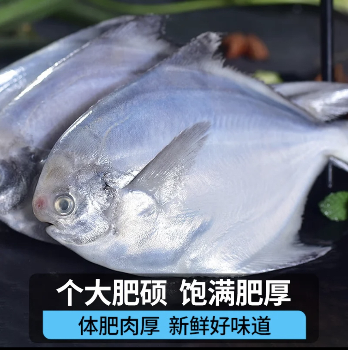 冰鲜 银鲳鱼3斤（一斤3条）顺丰包邮液氮锁鲜发货