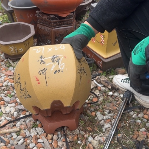 红陶紫砂花盆盆景盆栽