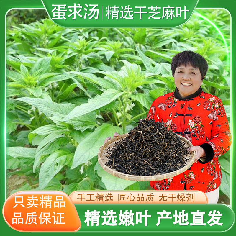 干芝麻叶河南土特产农家手工新货农家土特产脱水蔬菜自晒干货干菜