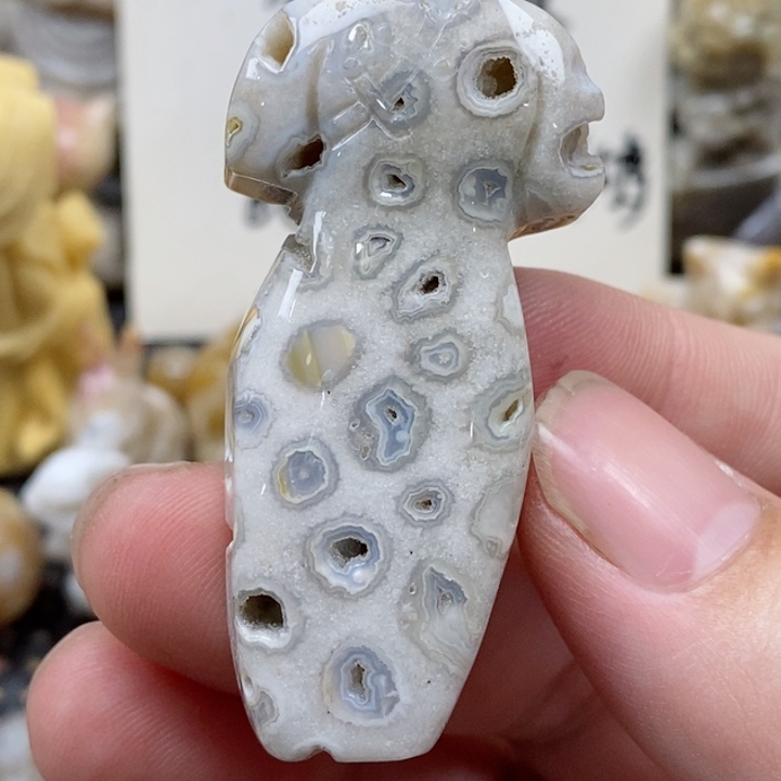 颈饰未镶嵌硅化珊瑚（珊瑚玉）