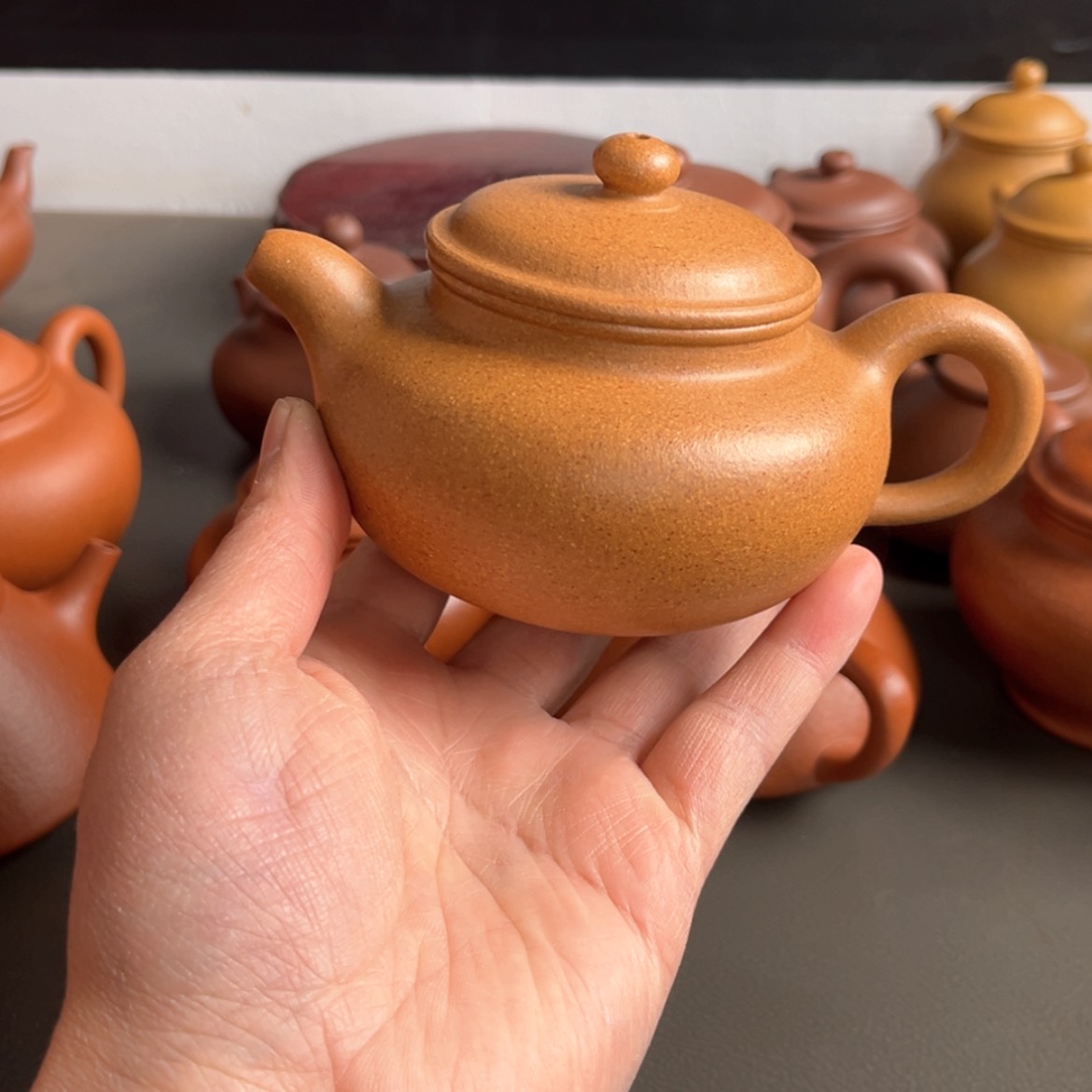 【闪购商品】天*壶壶壶壶壶壶壶壶壶壶