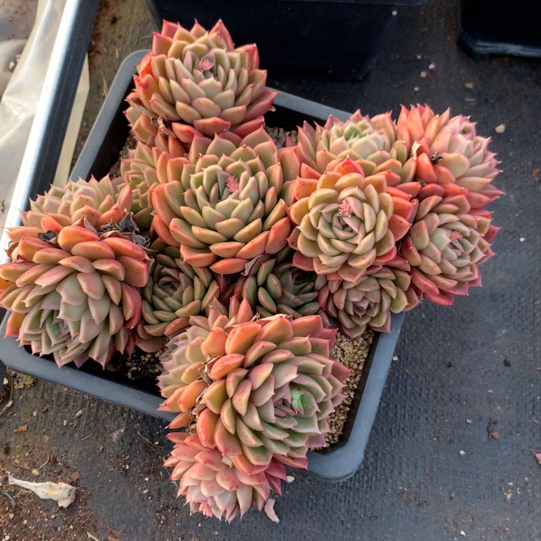 5073新年快乐发发发