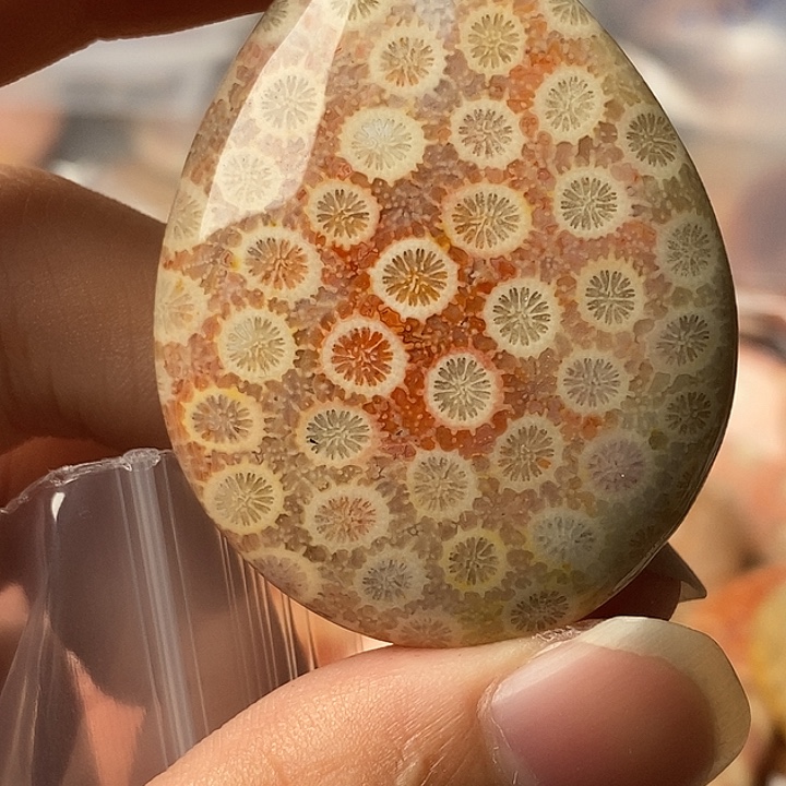 开***心硅化珊瑚未镶嵌颈饰