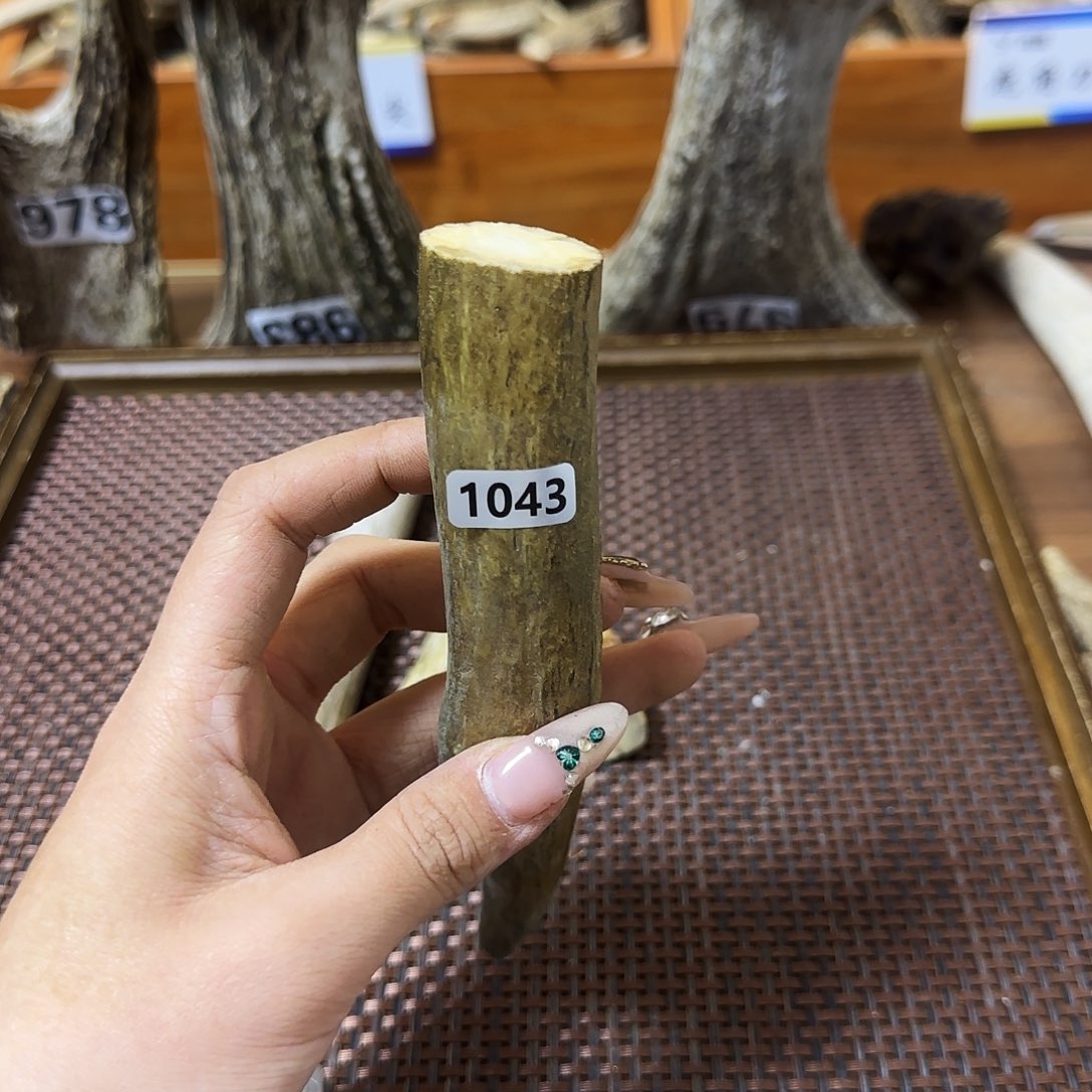 鹿骨手串/手链1043角尖