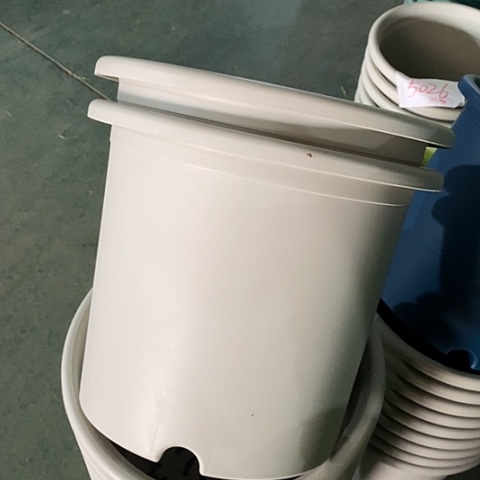 树脂微瑕6号7个无托灰白