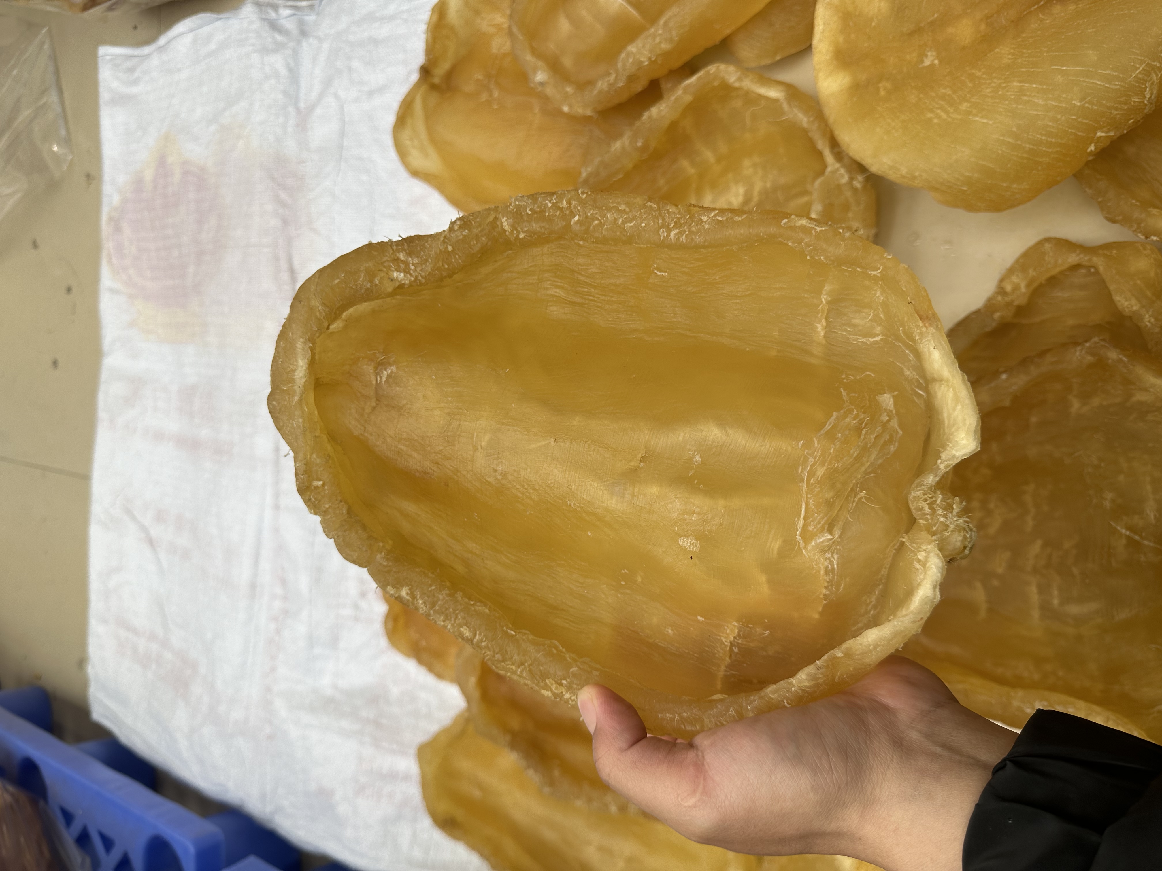 【丑巴怪】直播现场称重链接1-1000g
