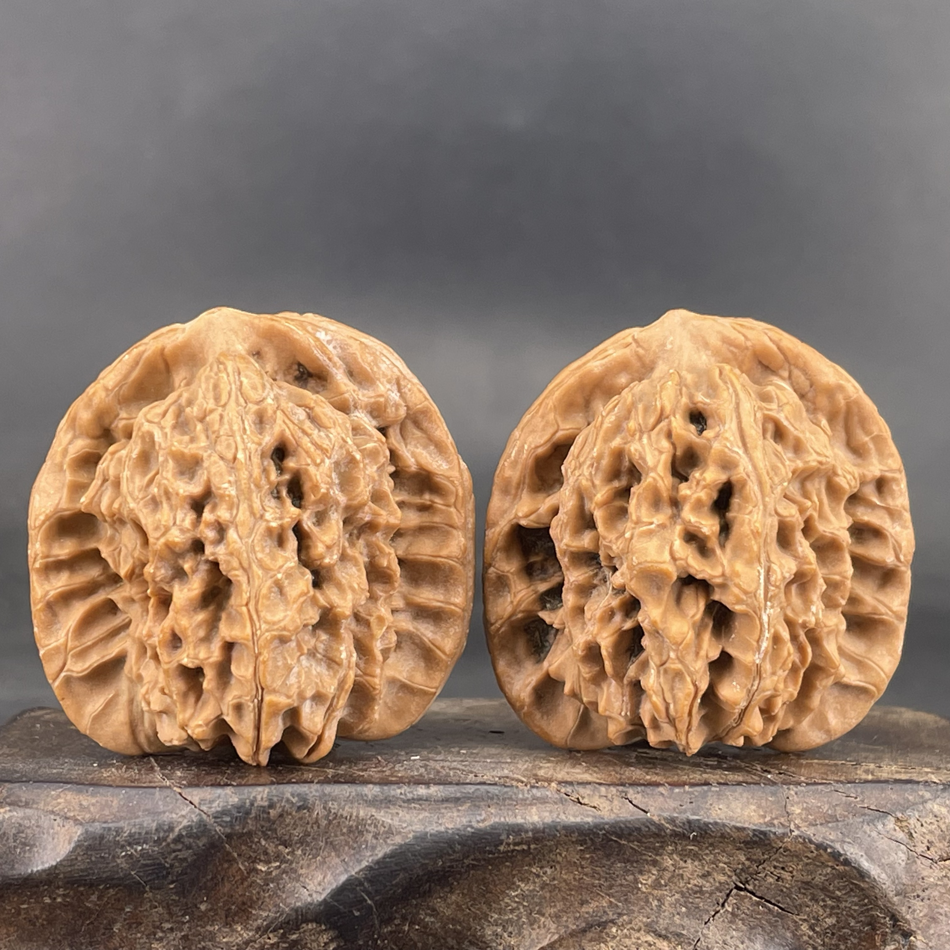 非嫁接马老四狮子头