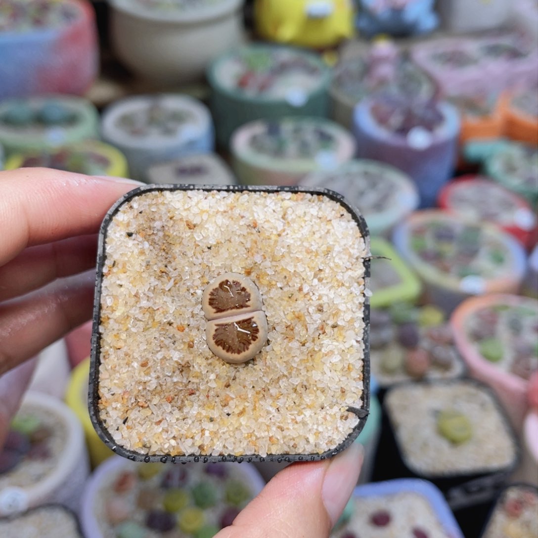 001。8888888888888888888