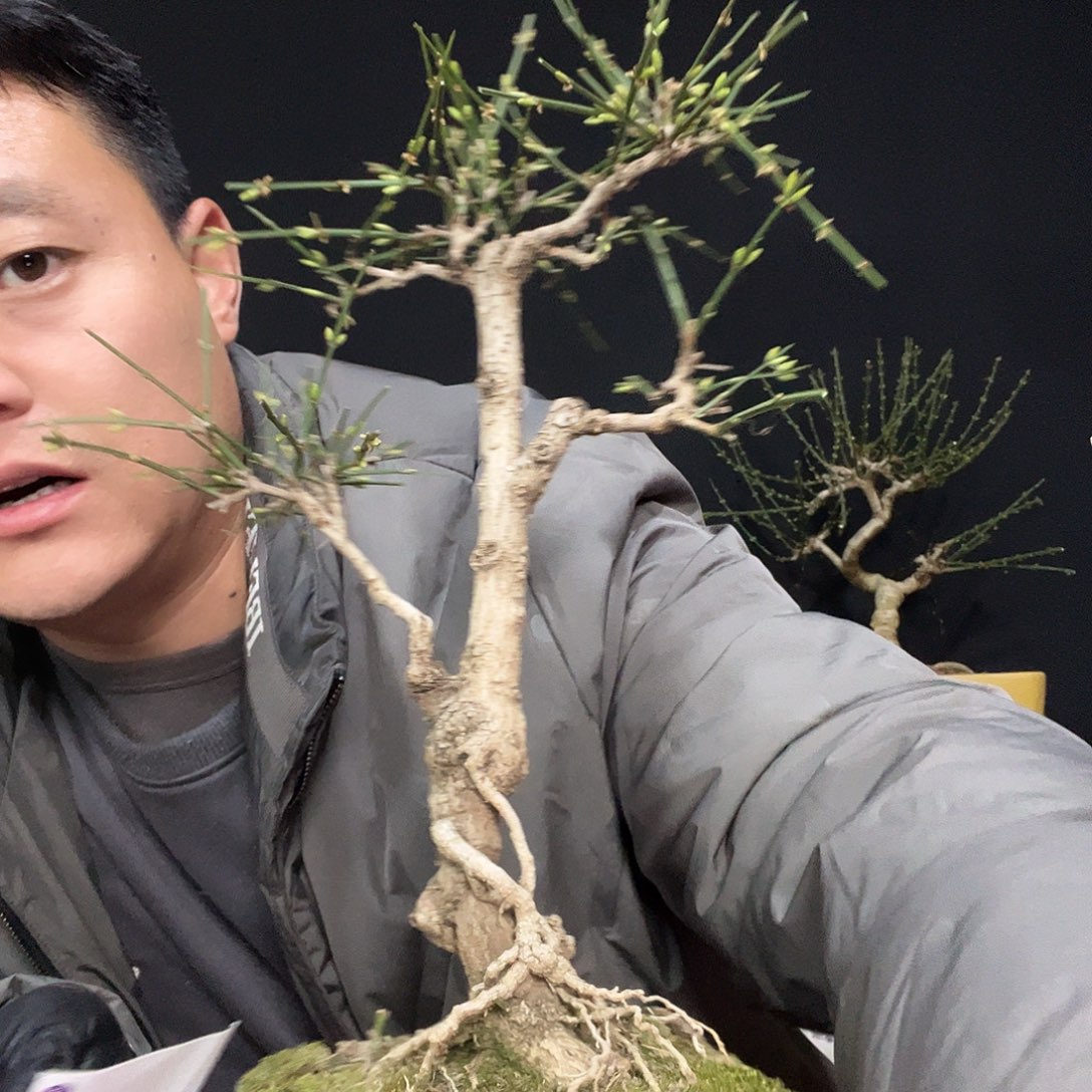 百***！无花朵谢谢你的关心和支持