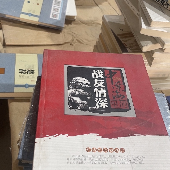 正版微瑕战友情深