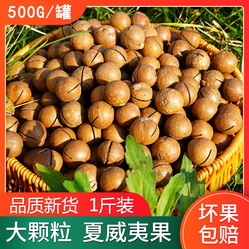 大颗粒夏威夷果奶香味饱满酥脆薄壳坚果送开口器