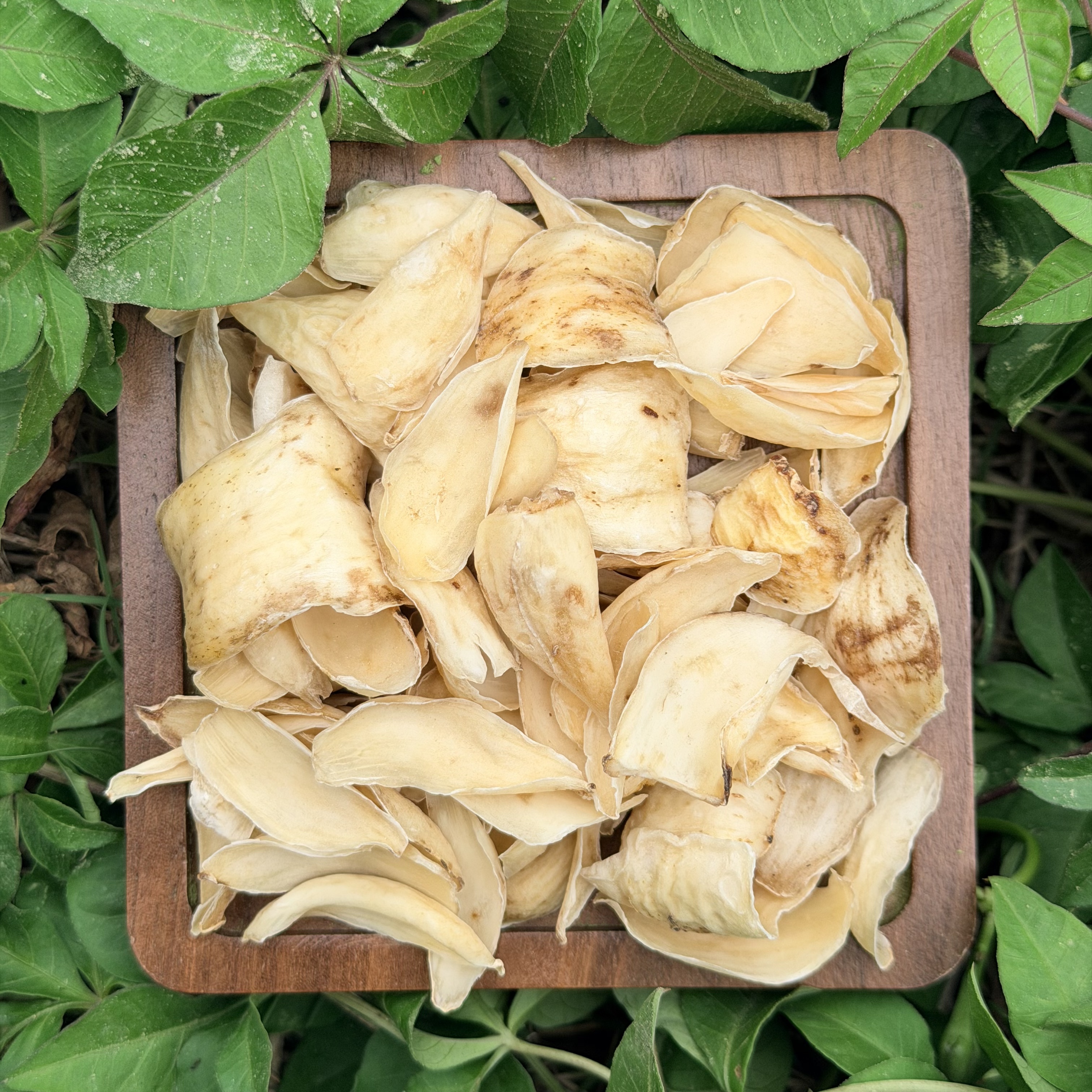 【阿丹臻品】百合  农家土特产