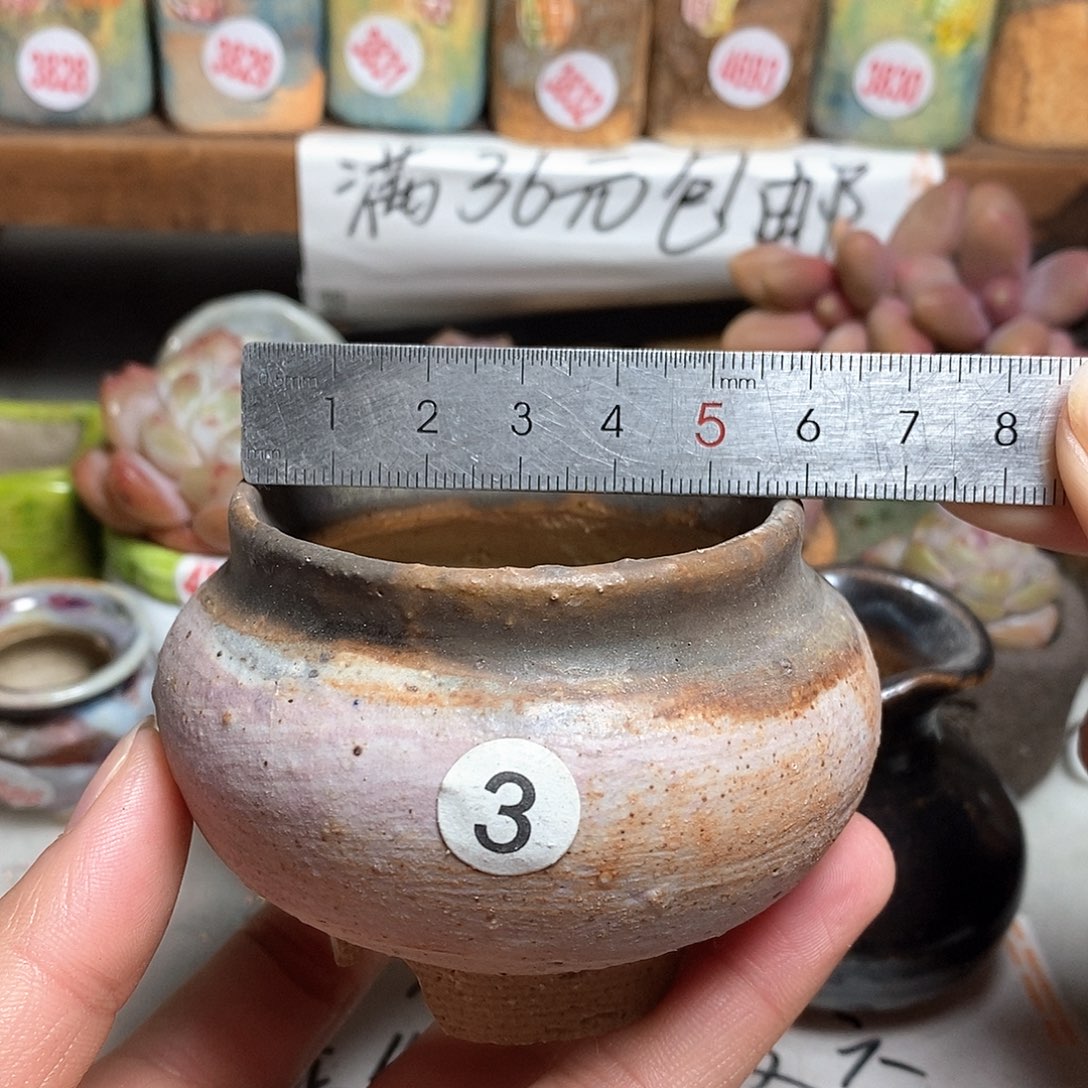 红陶拍5送一个小