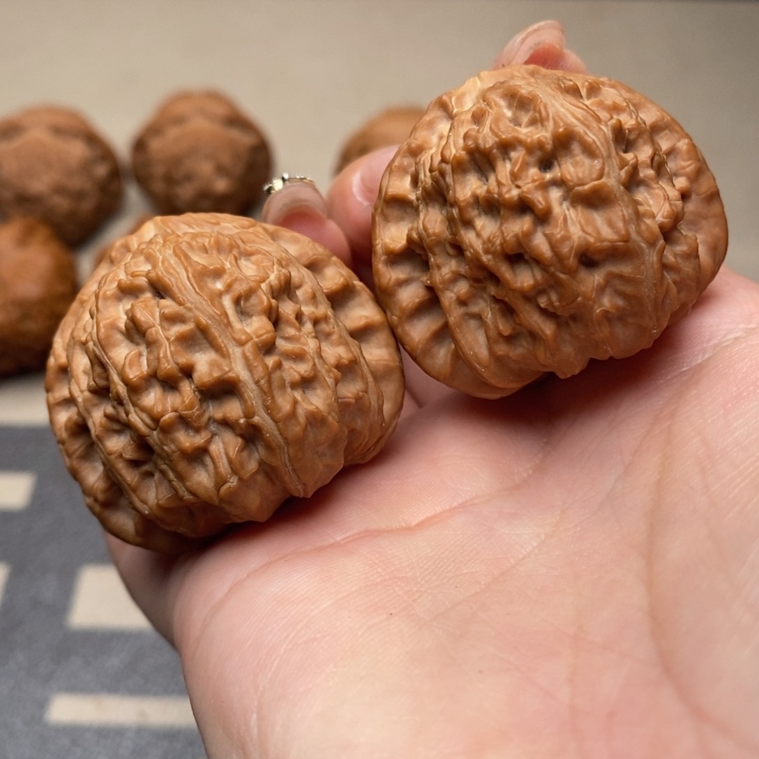 文玩核桃把件白狮子38 S6号