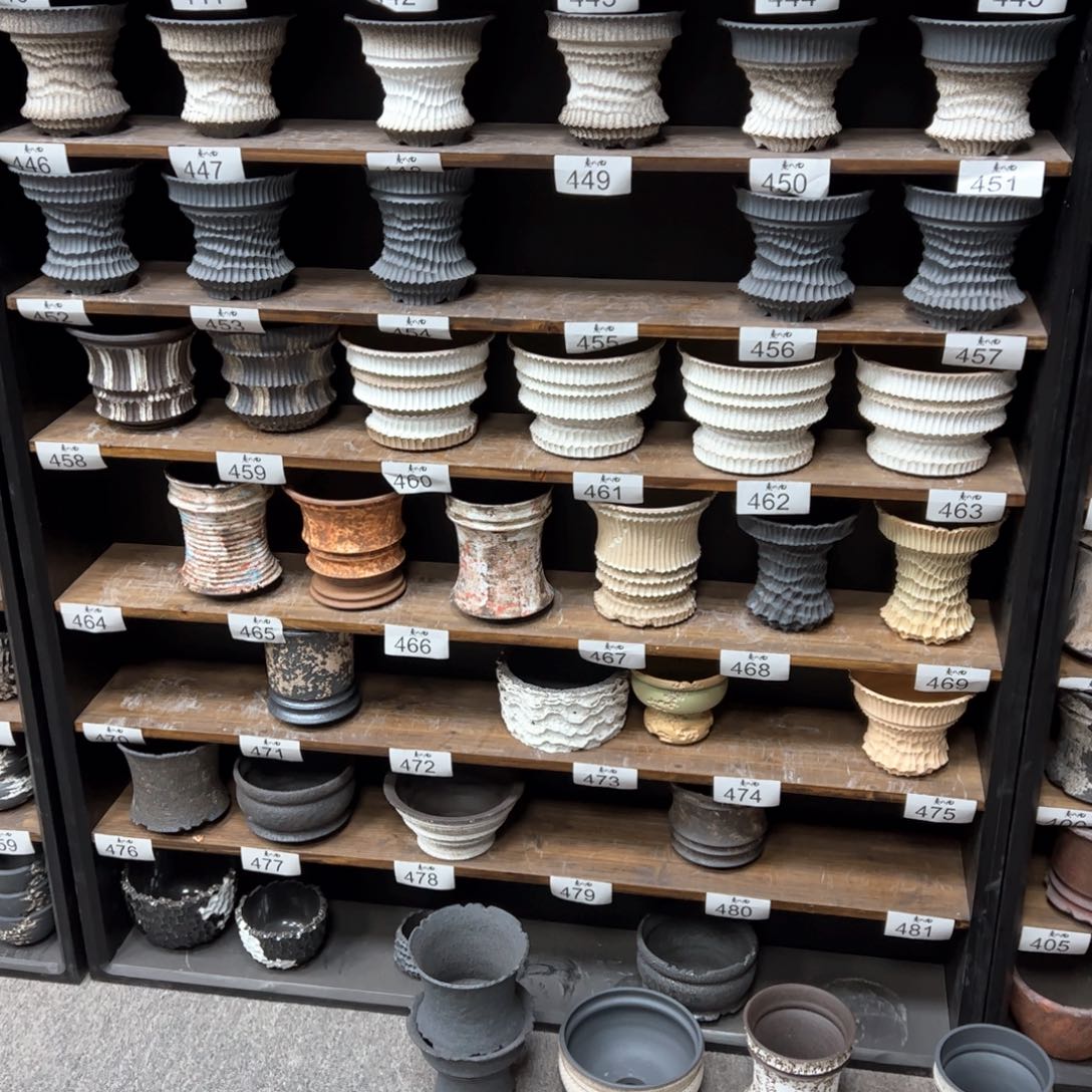 有喜欢的把编号打在公屏