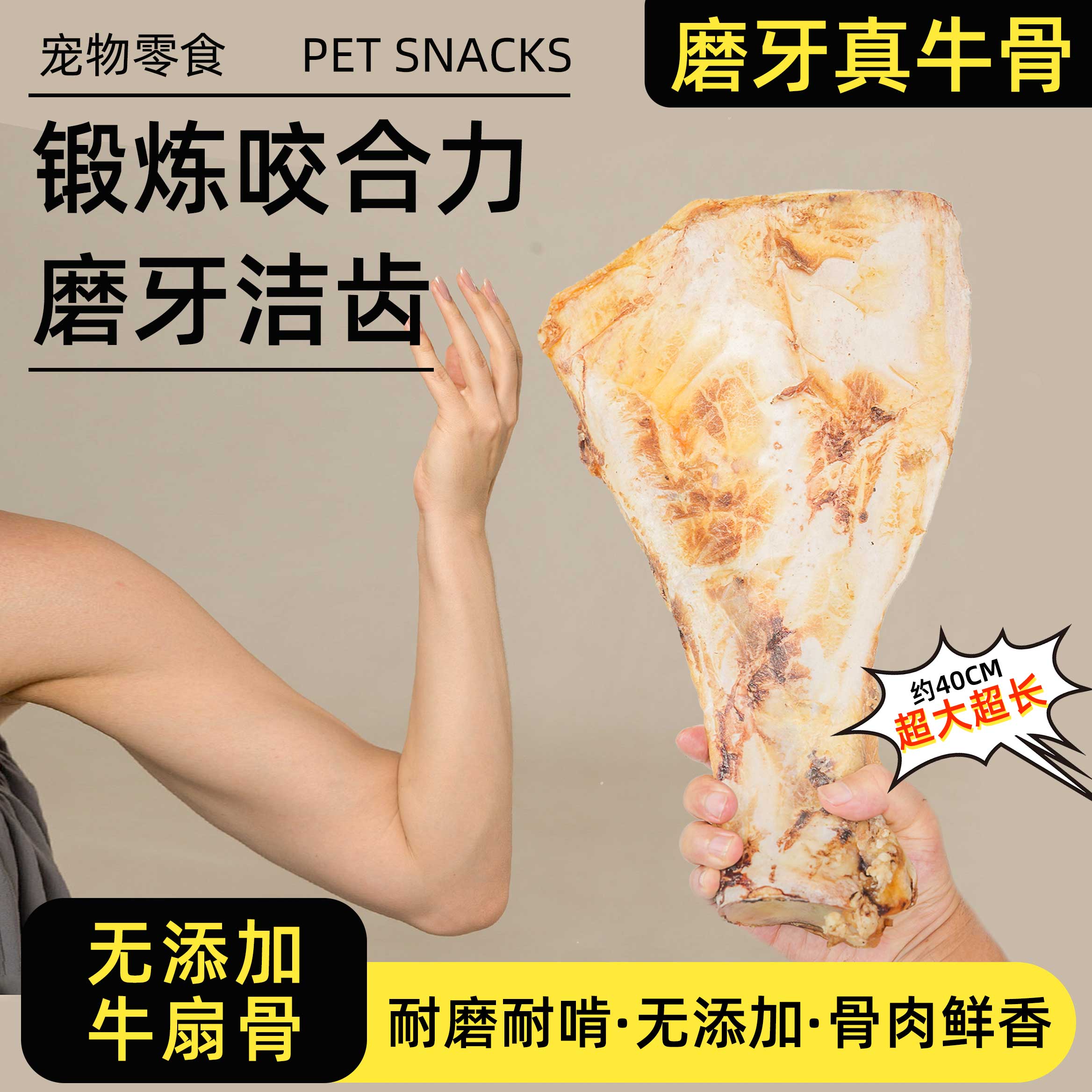 风干超大牛扇骨狗狗磨牙真牛骨洁齿耐咬中大型犬磨牙大骨头