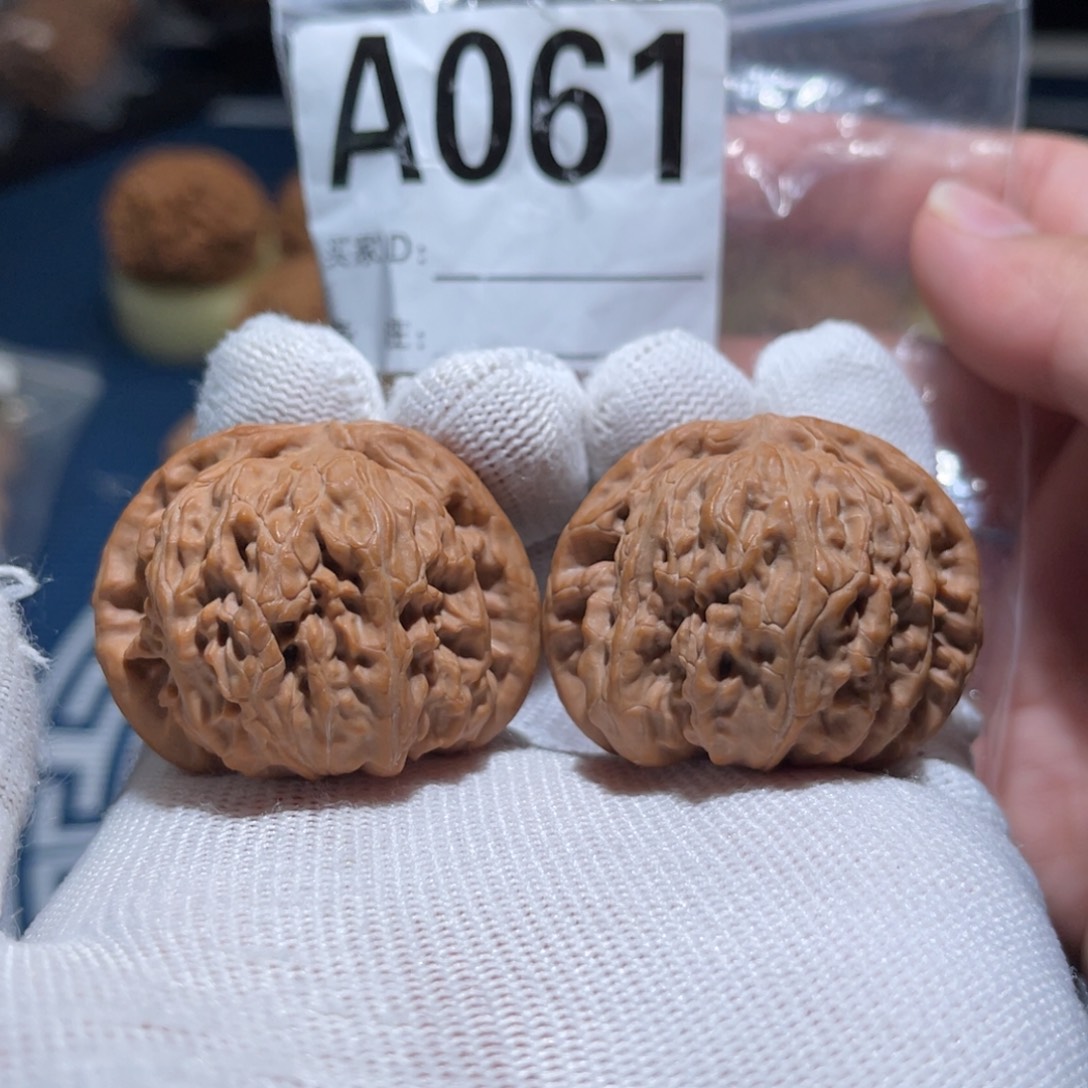 文玩核桃把件白狮子闷白41全品