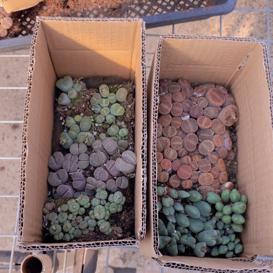 一箱拼箱88888888888