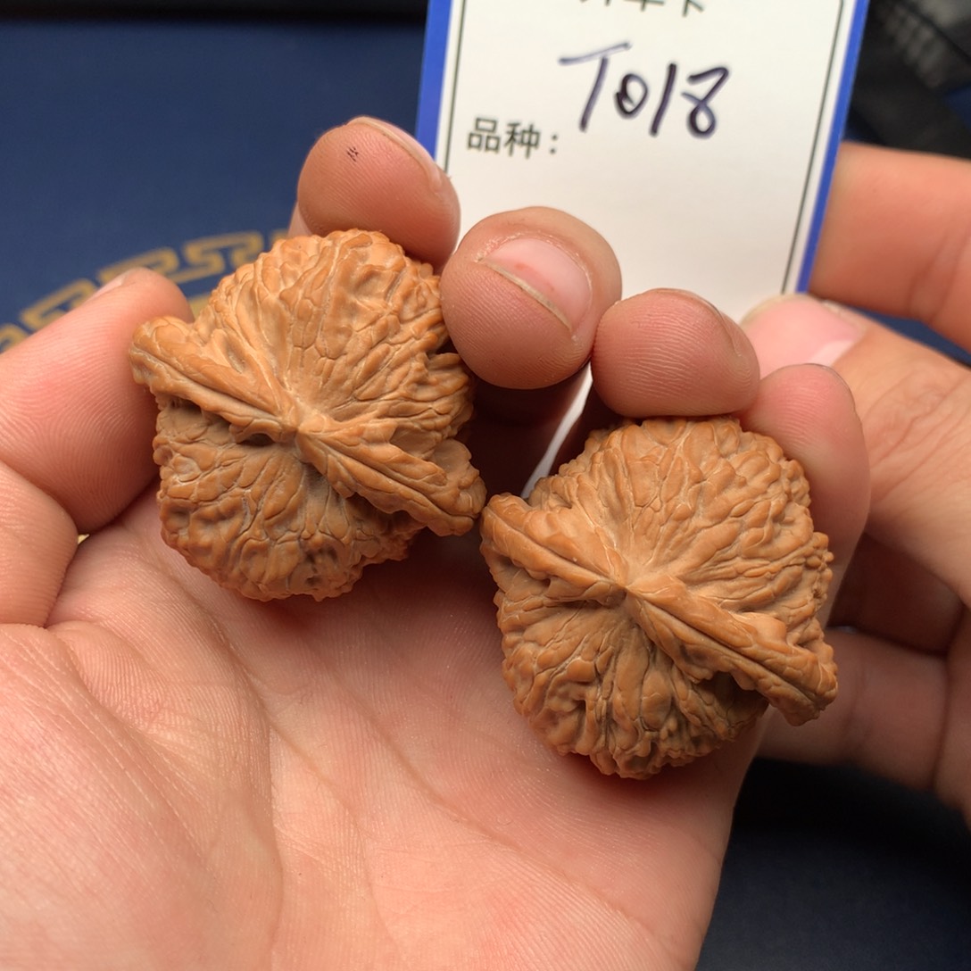 文玩核桃把件白狮子018